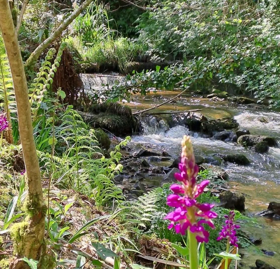 Moulin De Kervegan Panzió Plouzélambre